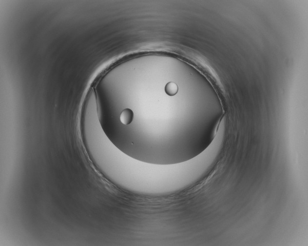 X0000112461328200909141050