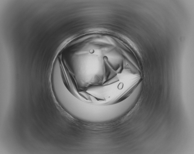 X0000112461330200909141050