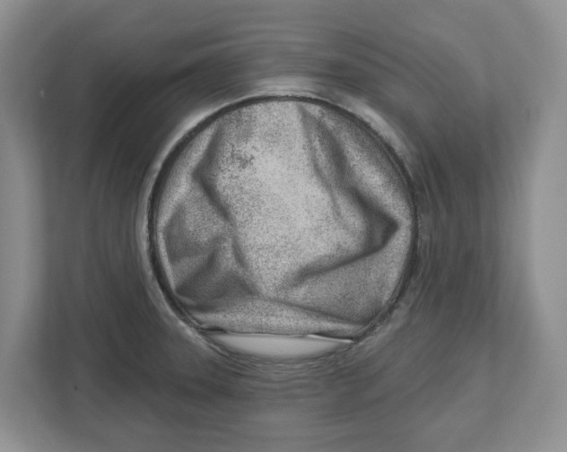 X0000112461331200909141050