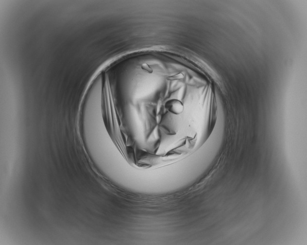 X0000112461332200909141050