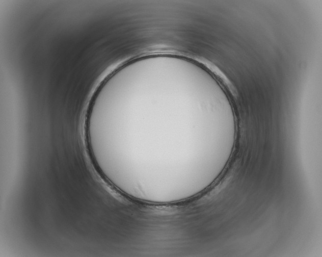 X0000112461333200909141050
