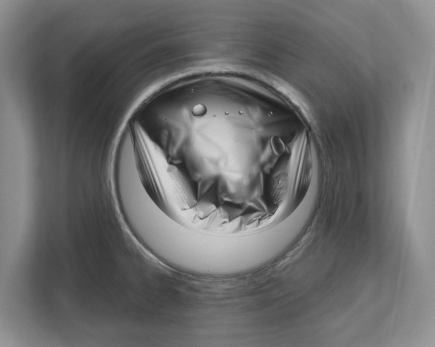 X0000112461334200909141050