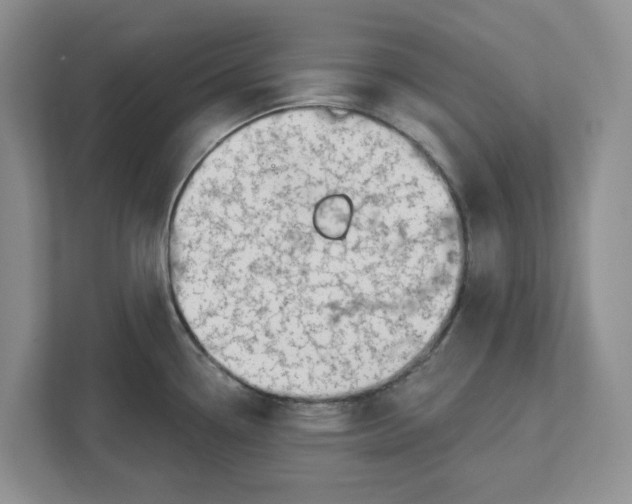 X0000112461338200909141050