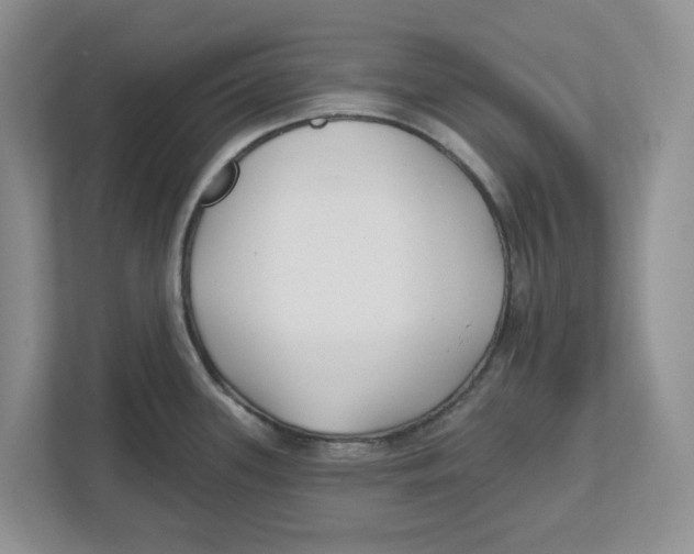 X0000112461339200909141050