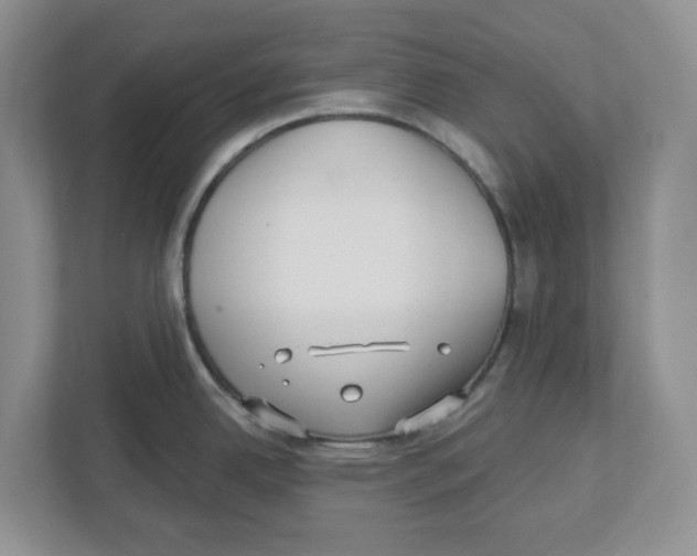 X0000112461342200909141050