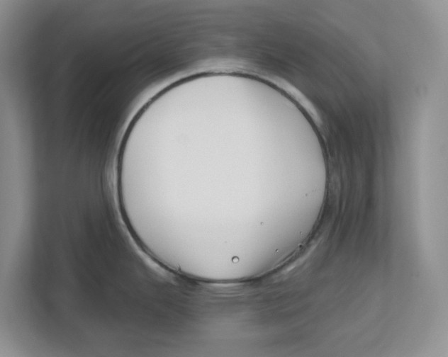 X0000112461343200909141050