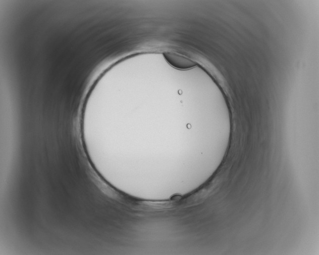X0000112461344200909141050