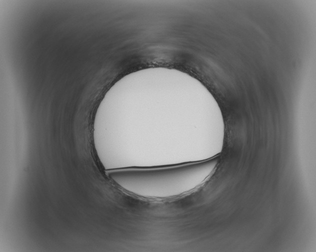 X0000112461345200909141050