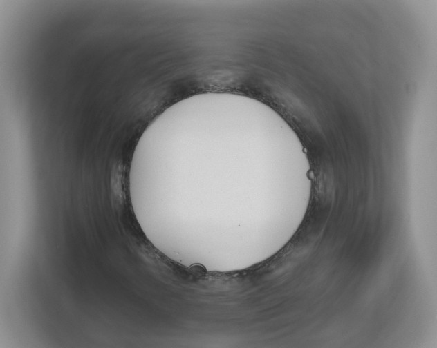 X0000112461346200909141050