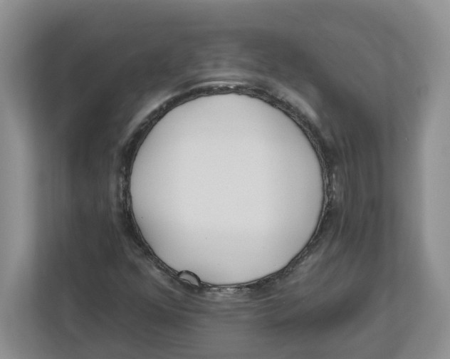 X0000112461352200909141050