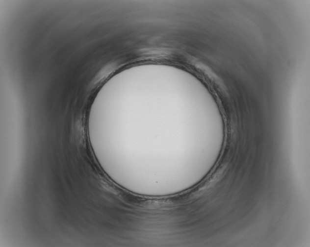X0000112461354200909141050