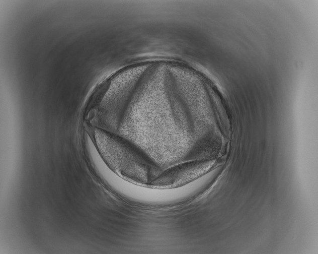 X0000112461357200909141050