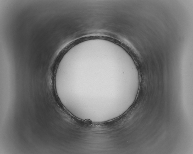 X0000112461360200909141050