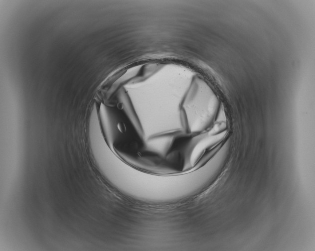 X0000112461361200909141050