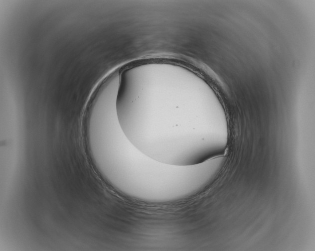 X0000112461364200909141050