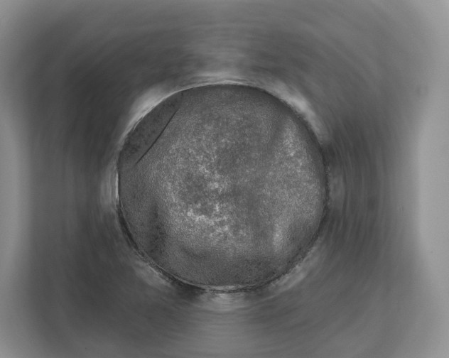 X0000112461365200909141050