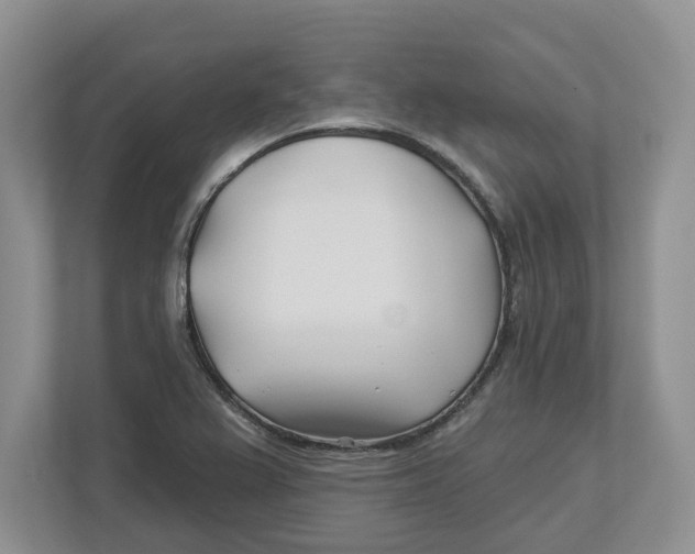 X0000112461367200909141050