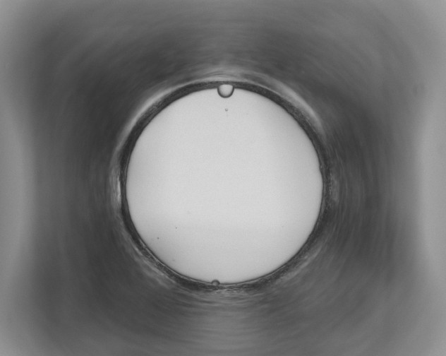 X0000112461368200909141050