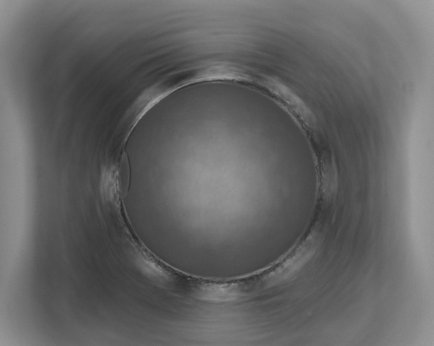 X0000112461369200909141050