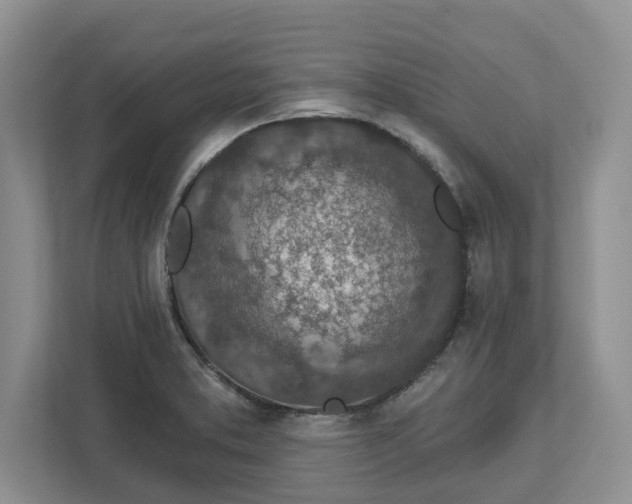 X0000112461373200909141049