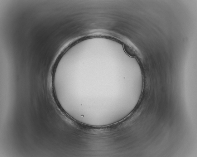 X0000112461376200909141049