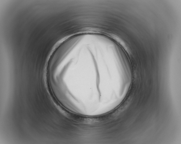 X0000112461379200909141049