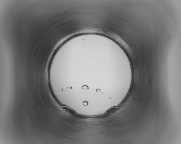 X0000112461380200909141049