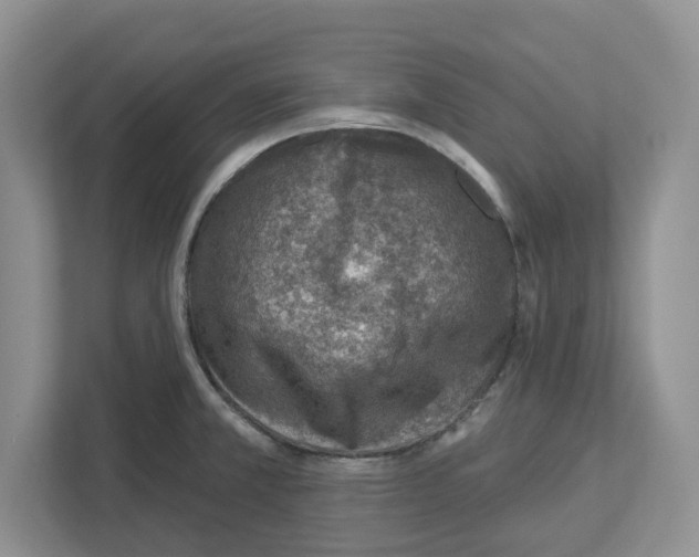 X0000112461381200909141049
