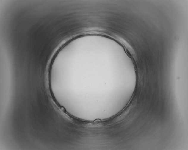 X0000112461384200909141049