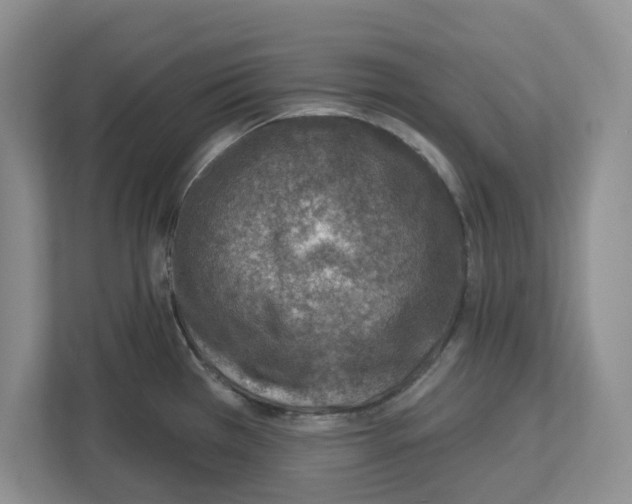 X0000112461385200909141049