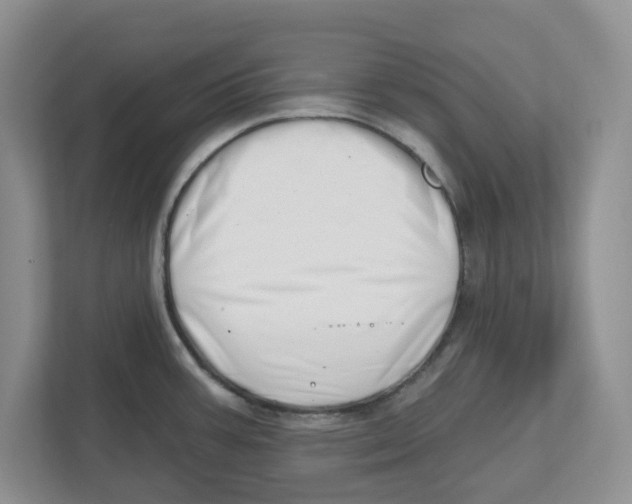 X0000112461387200909141049