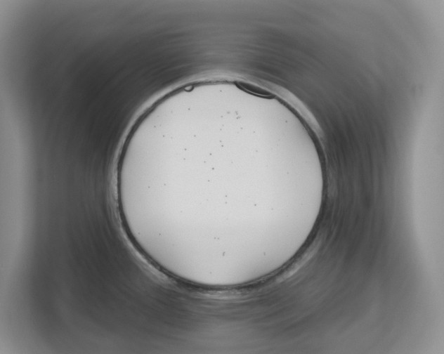 X0000112461388200909141049