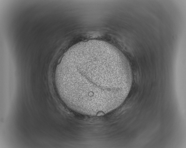 X0000112461393200909141049