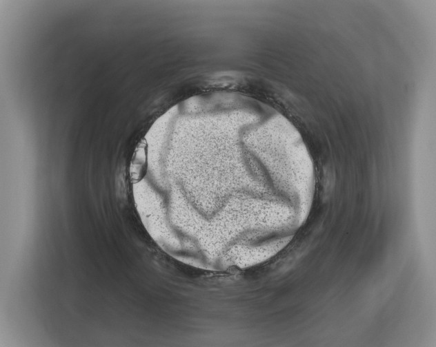 X0000112461394200909141049