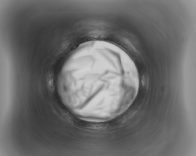 X0000112461396200909141049