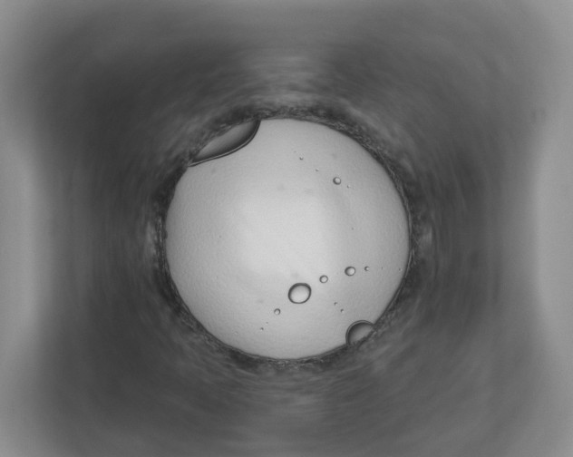 X0000112461397200909141049