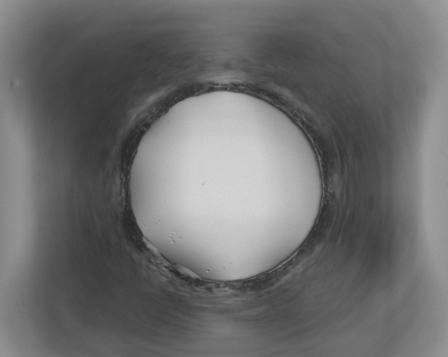 X0000112461398200909141049
