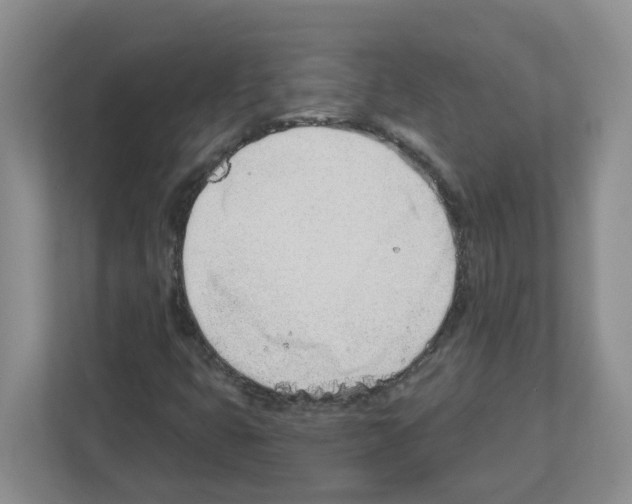 X0000112461399200909141049