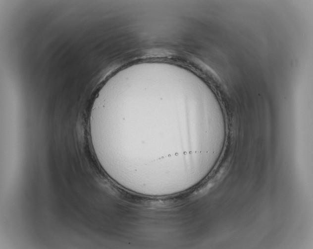 X0000112461401200909141049