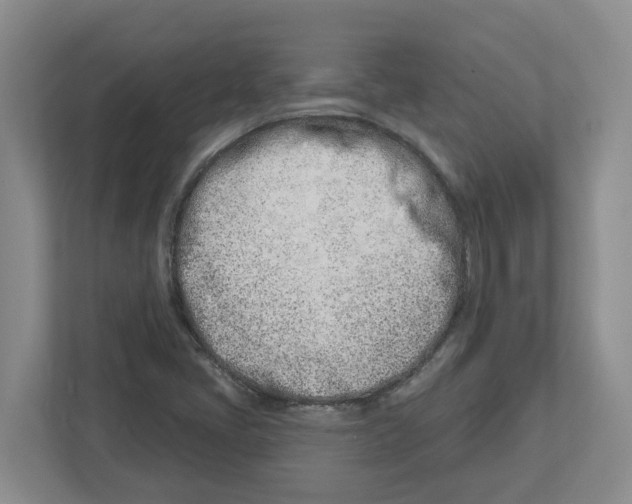 X0000112461405200909141049