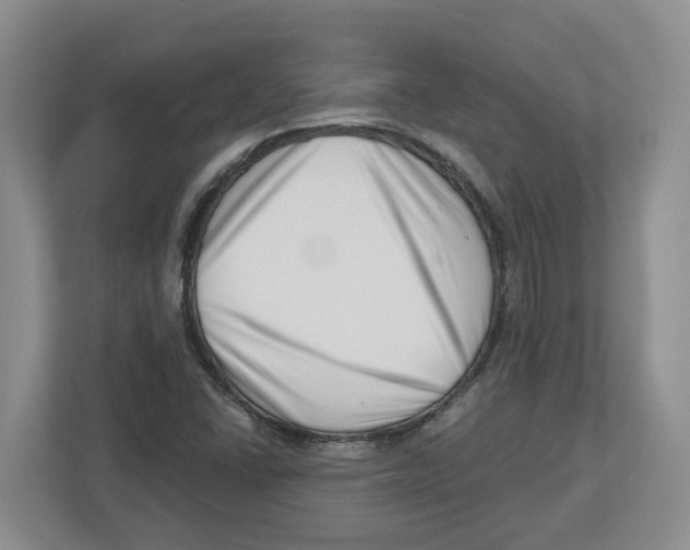 X0000112461406200909141049