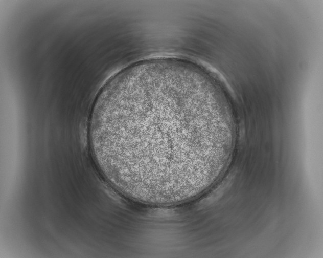 X0000112461409200909141049