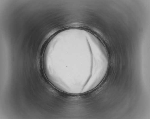 X0000112461410200909141049