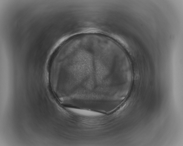 X0000112461414200909141049