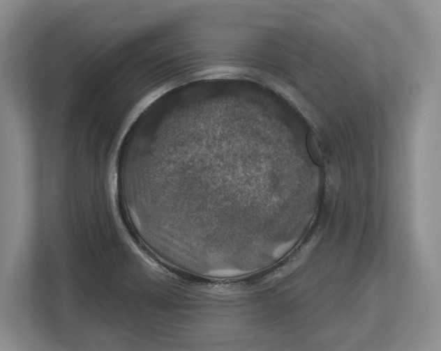 X0000112461418200909141049