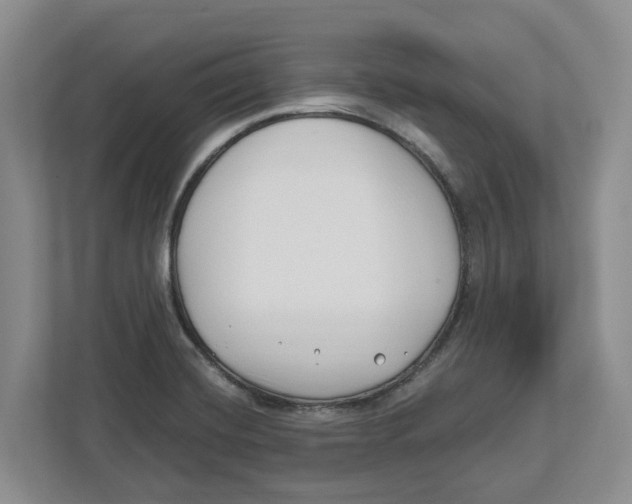 X0000112461420200909141049
