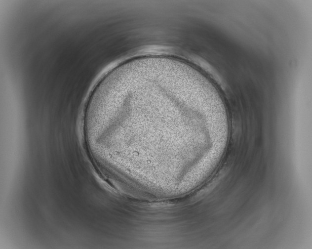 X0000112461421200909141049