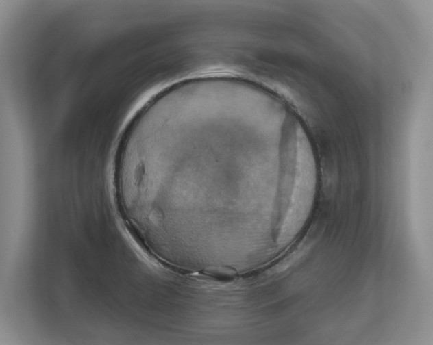 X0000112461422200909141049