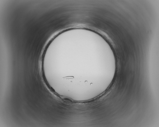 X0000112461424200909141049
