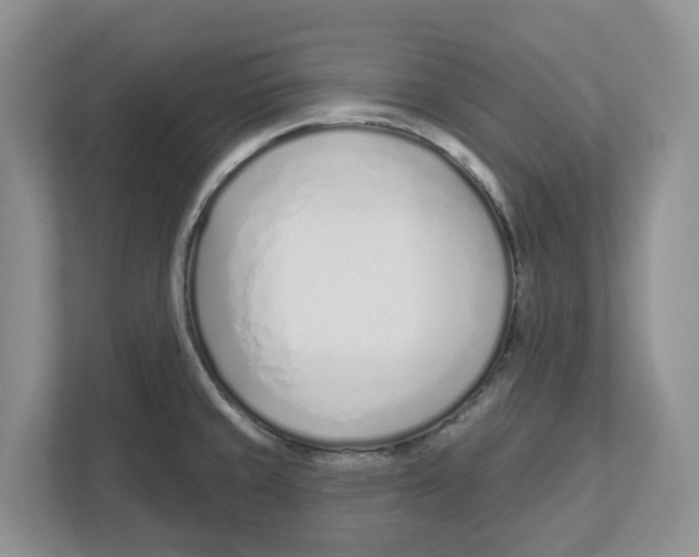 X0000112461429200909141049